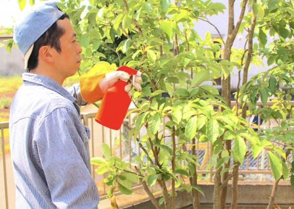 害虫駆除の重要性